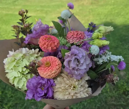 Wrapped bouquet of green hydrangea, zinnias, dahlias and purple lisianthus