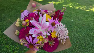 Wrapped bouquet of pink lilies, coneflowers and zinnias