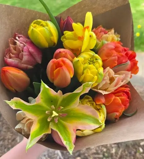 'Tulip Lovers' Subscription - 4 Bouquets!