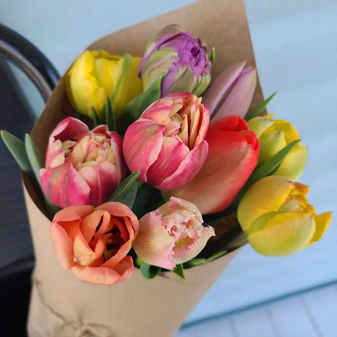 Pre-Order Tulip Wrapped Bouquet, 2026
